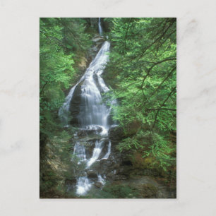 Moss Glen Falls Stowe Vermont Postkarte