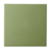 Moss Green #8a9a5b
