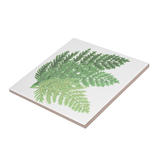 Moss Green Fern Fliese (Seite)