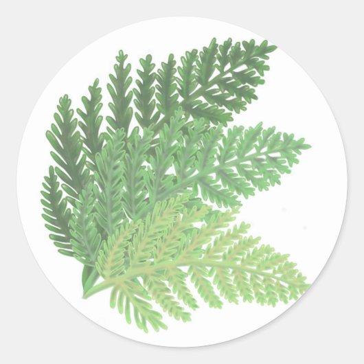 Moss Green Fern Runder Aufkleber (Vorderseite)
