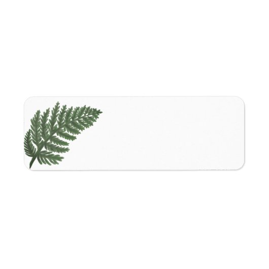 Moss Green Fern, waldflorale Fauna (Vorne)