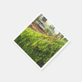 Moss in Golden Sunshine - Kundenspezifischer Ernte Serviette (Ecke)