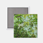 Moss & Lichen auf Rock Magnet (Vorderseite/Rückseite)