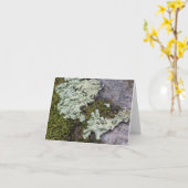 Moss & Lichen Notecard Karte (Gelbe Blume)