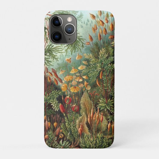 Moss (Muscinae) von Haeckel Case-Mate iPhone Hülle (Rückseite)