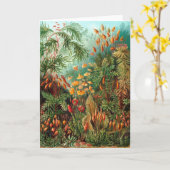 Moss (Muscinae) von Haeckel Karte (Gelbe Blume)