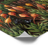 Moss (Muscinae) von Haeckel Poster (Ecke)