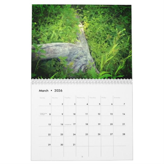 Moss & Mushrooms Goblincore Kalender (Mär 2026)