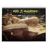 Moss & Mushrooms Goblincore Kalender (Titelbild)