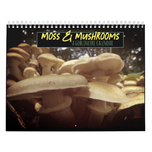 Moss & Mushrooms Goblincore Kalender (Titelbild)