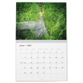 Moss & Mushrooms Goblincore Kalender (Mär 2027)