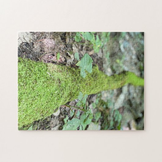 Moss on Fallen Tree Puzzle (Horizontal)