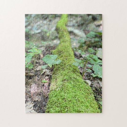 Moss on Fallen Tree Puzzle (Vertikal)