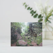 Moss on Rocks Boulders in Mercer Landkreis WV Postkarte (Stehend Vorderseite)