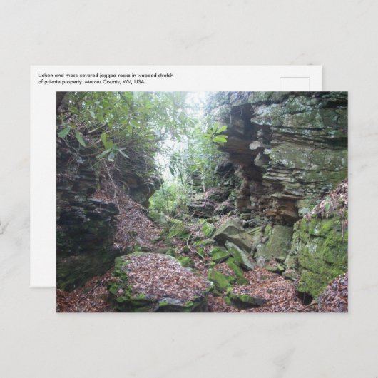 Moss on Rocks Boulders in Mercer Landkreis WV Postkarte (Vorne/Hinten)