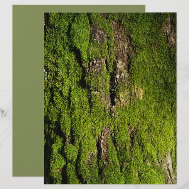 Moss on tree bark scrapbook paper (Vorne/Hinten)