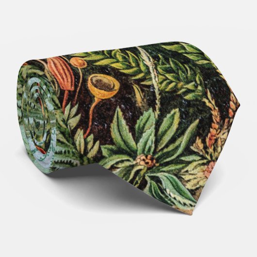 Moss Pflanze Muscinae von Ernst Haeckel Krawatte (Gerollt)