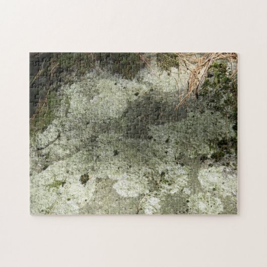Moss und Lichen auf Rock Puzzle (Horizontal)