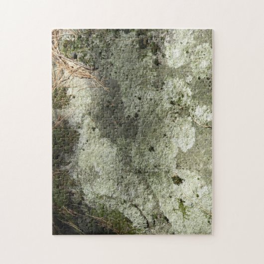 Moss und Lichen auf Rock Puzzle (Vertikal)