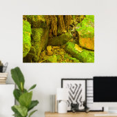 Moss und Stein – Hungarian Falls, Upper Peninsula Poster (Heimbüro)