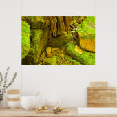 Moss und Stein – Hungarian Falls, Upper Peninsula Poster (Küche)
