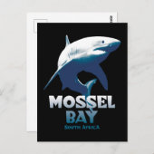 Mossel Bay Great White Shark Scuba Diving Postkarte (Vorne/Hinten)