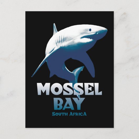 Mossel Bay Great White Shark Scuba Diving Postkarte (Vorderseite)