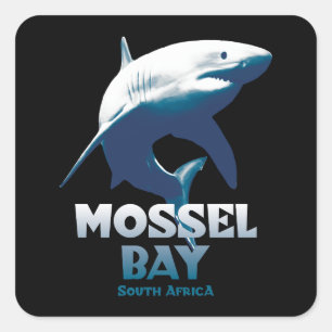 Mossel Bay Great White Shark Scuba Diving Quadratischer Aufkleber