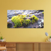 Mosses Leinwanddruck (Insitu (Wohnzimmer))