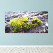 Mosses Leinwanddruck (Insitu (Holzboden))