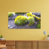 Mosses Leinwanddruck (Insitu (Wohnzimmer))