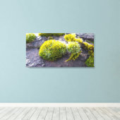 Mosses Leinwanddruck (Insitu (Holzboden))