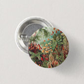 Mosses, Muscinae Laubmoose von Ernst Haeckel Button (Vorne & Hinten)