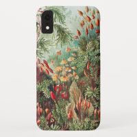 Mosses, Muscinae Laubmoose von Ernst Haeckel