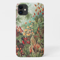 Mosses, Muscinae Laubmoose von Ernst Haeckel