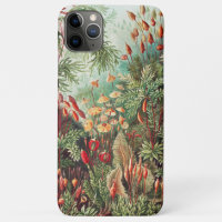 Mosses, Muscinae Laubmoose von Ernst Haeckel