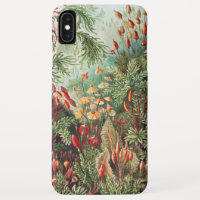 Mosses, Muscinae Laubmoose von Ernst Haeckel