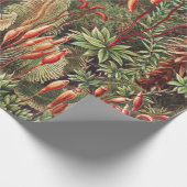 Mosses, Muscinae Laubmoose von Ernst Haeckel Geschenkpapier (Ecke)