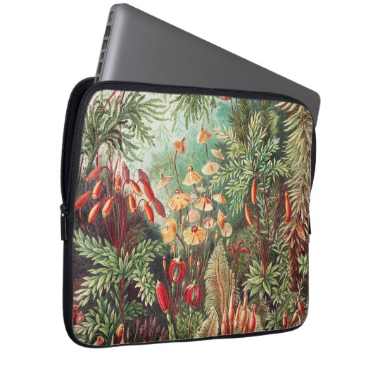 Mosses, Muscinae Laubmoose von Ernst Haeckel Laptopschutzhülle (Vorne Rechts)