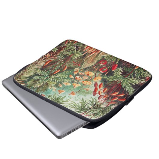 Mosses, Muscinae Laubmoose von Ernst Haeckel Laptopschutzhülle (Vorne Knopf)