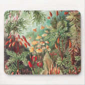 Mosses, Muscinae Laubmoose von Ernst Haeckel Mousepad (Vorne)