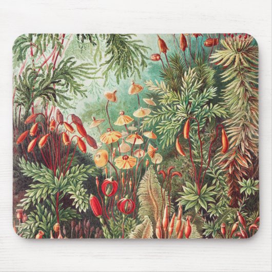 Mosses, Muscinae Laubmoose von Ernst Haeckel Mousepad (Vorne)