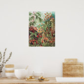 Mosses, Muscinae Laubmoose von Ernst Haeckel Poster (Küche)