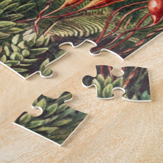 Mosses, Muscinae Laubmoose von Ernst Haeckel Puzzle (Seite)