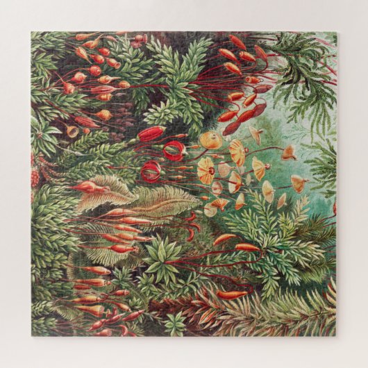 Mosses, Muscinae Laubmoose von Ernst Haeckel Puzzle (Horizontal)