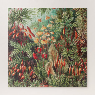 Mosses, Muscinae Laubmoose von Ernst Haeckel Puzzle