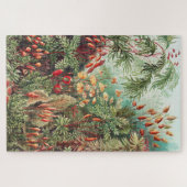 Mosses, Muscinae Laubmoose von Ernst Haeckel Puzzle (Horizontal)