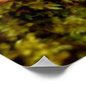 Mosses Poster (Ecke)