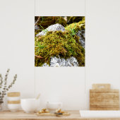 Mosses Poster (Küche)