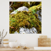 Mosses Poster (Küche)